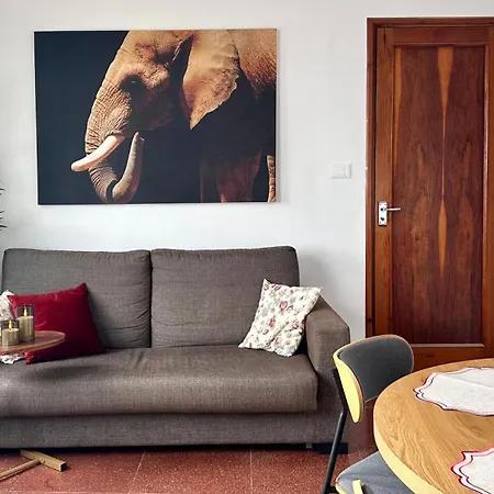 Casco Antiguo Apartmán