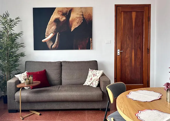 Casco Antiguo Appartement